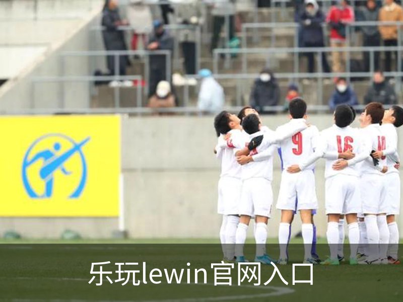 乐玩lewin官网入口品牌故事
